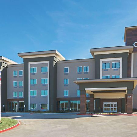 La Quinta By Wyndham Dallas - Wylie Exteriör bild